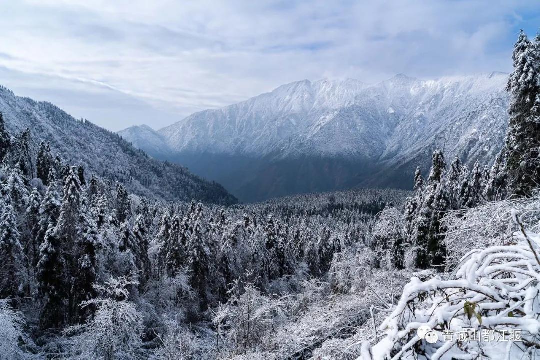 无雪不成冬,都江堰玩雪一日游