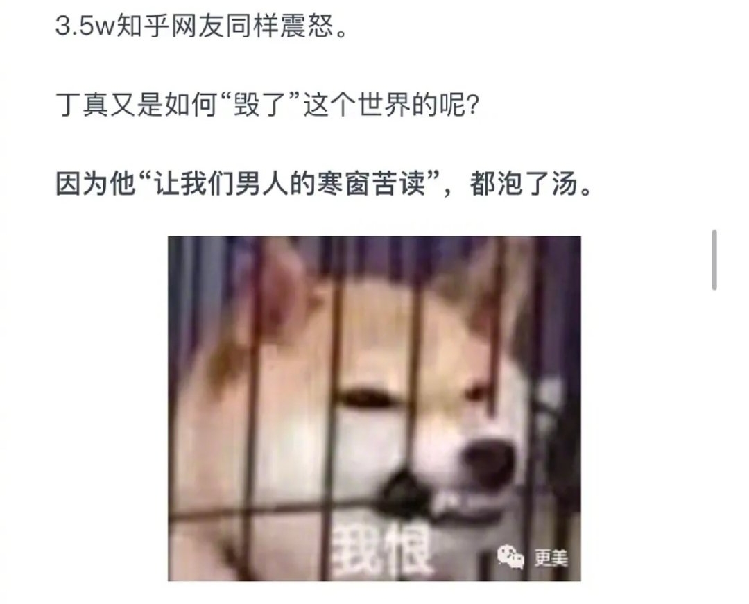 他们急了，看到淳朴的丁真受到女生追捧，丁真受到不友好的对待