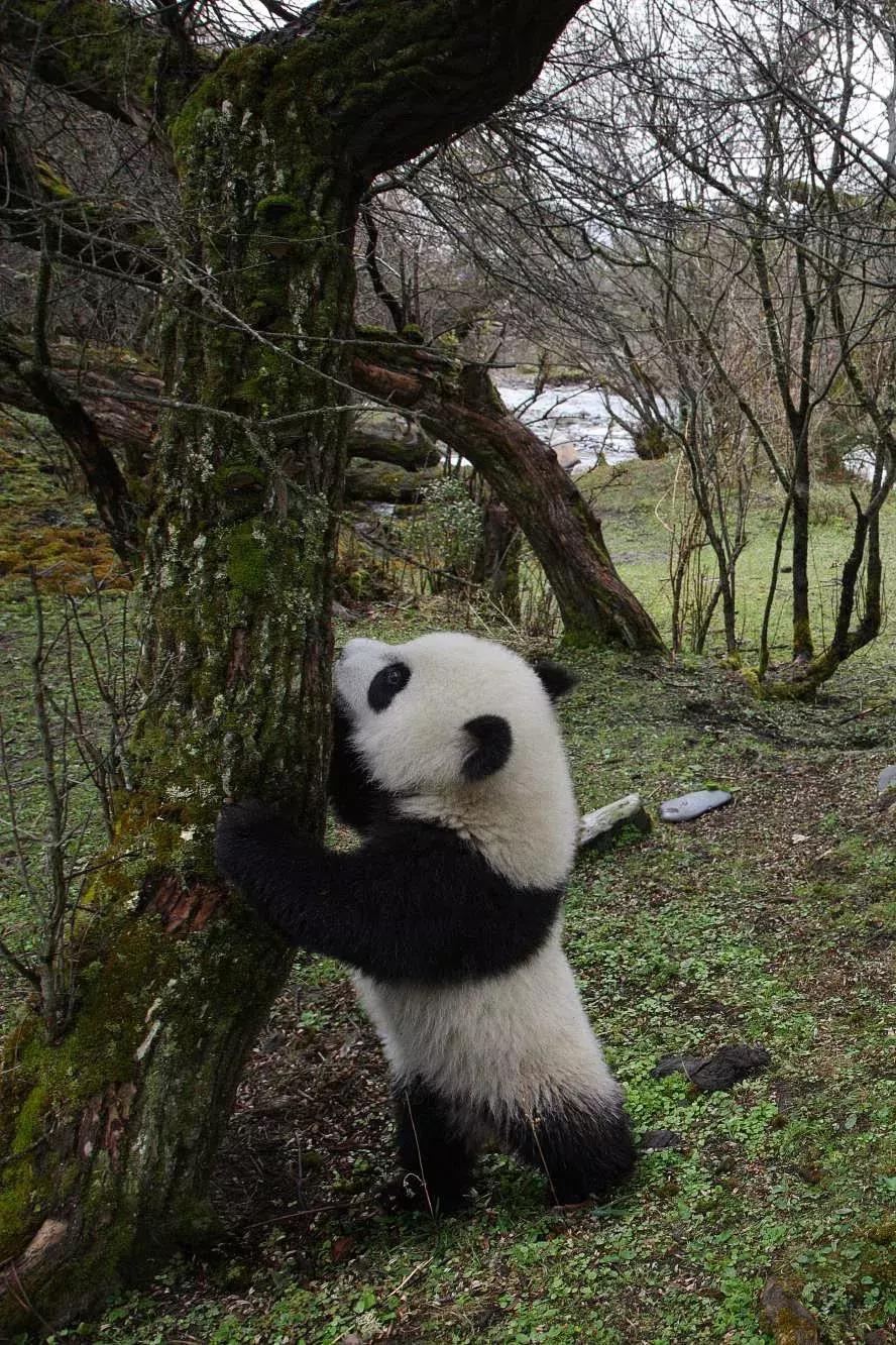 你才可爱你全家都可爱怎么回,你才可爱你全家都可爱出处