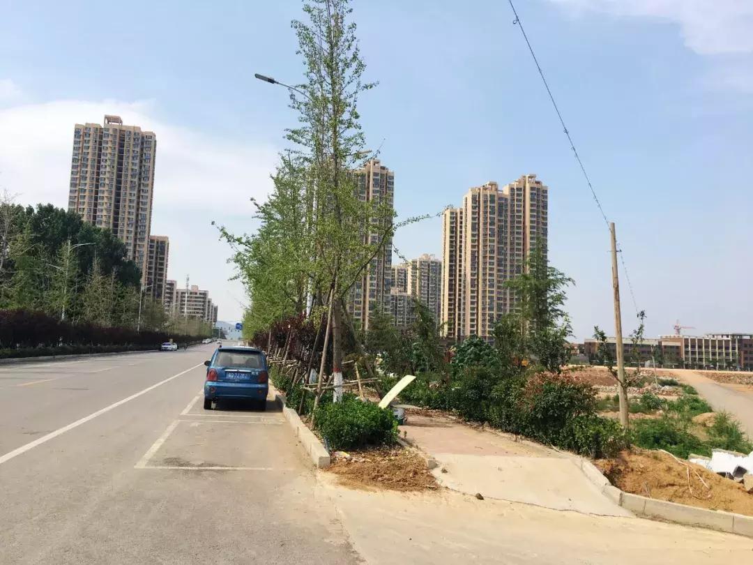 枣庄新城正在建设的房子,枣庄新城的项目