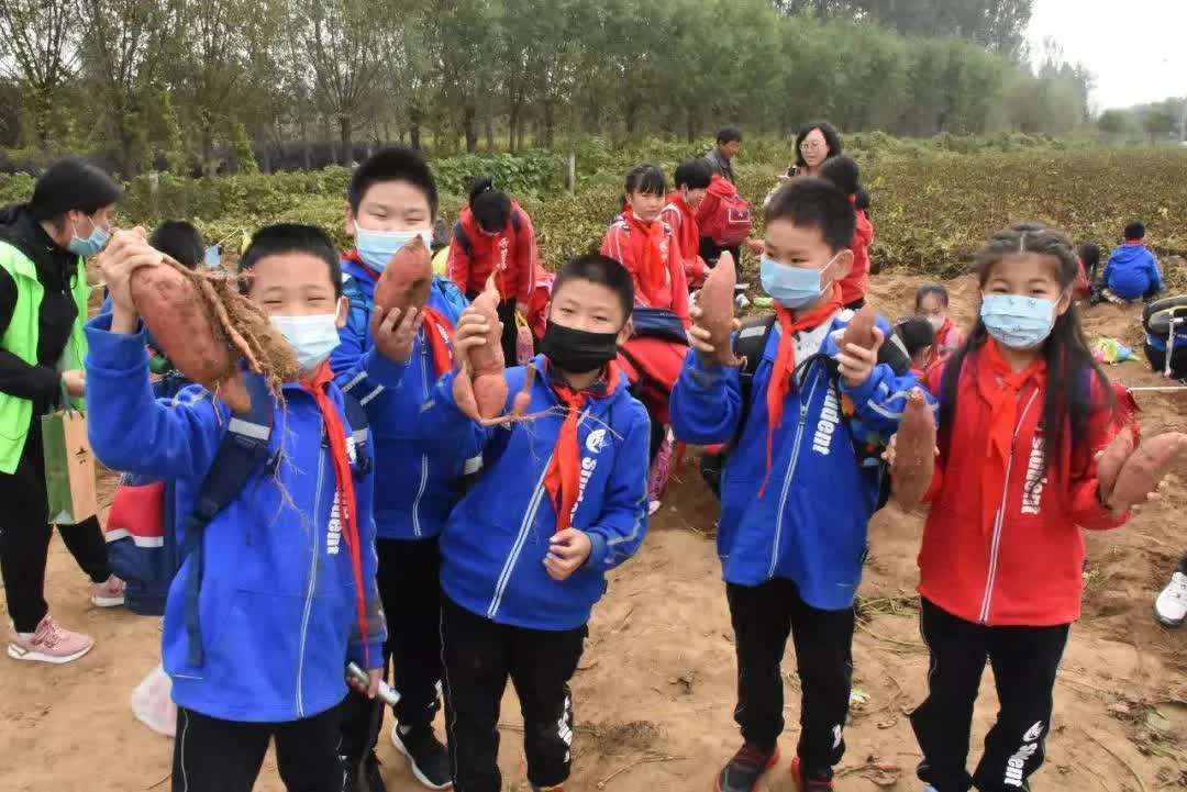 研学实践劳动教育,小学劳动教育研学活动是什么