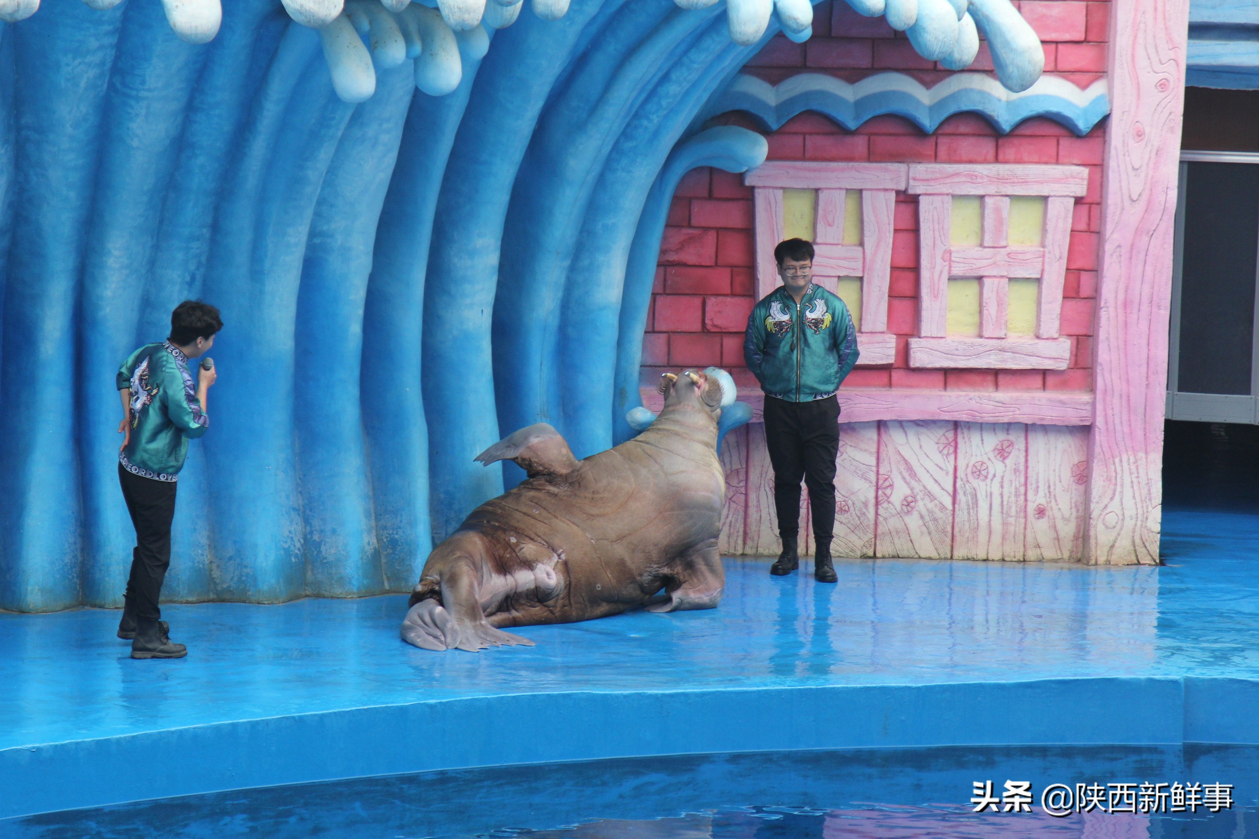 放飞海洋梦想感受丝绸传奇观后感,放飞海洋梦想感受丝路传奇研学题