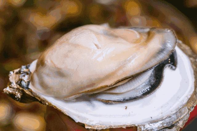 澳洲留学生必带食物有哪些,澳洲留学生活日常吃的怎么样