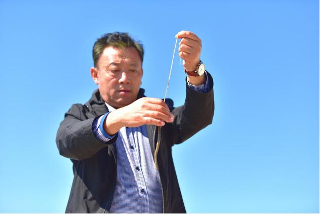 辽宁大连海参采捕正当时,辽宁大连海参捕捞视频