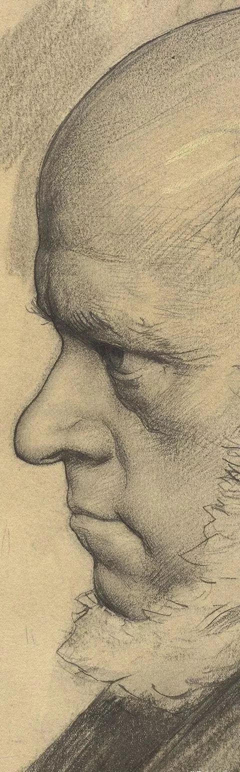 华卿画室素描头像,北京华卿画室在哪