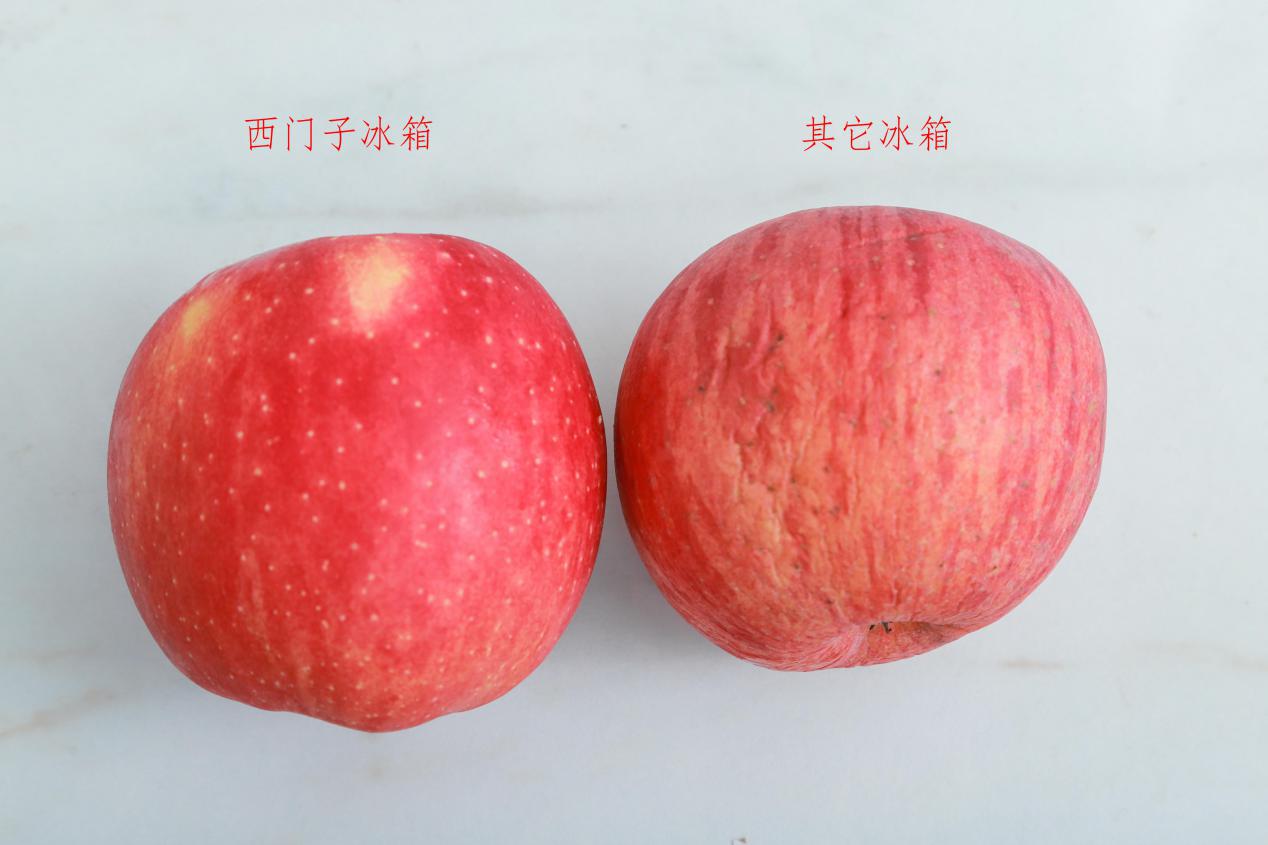 西门子生鲜冰箱,西门子冰箱是一线品牌吗