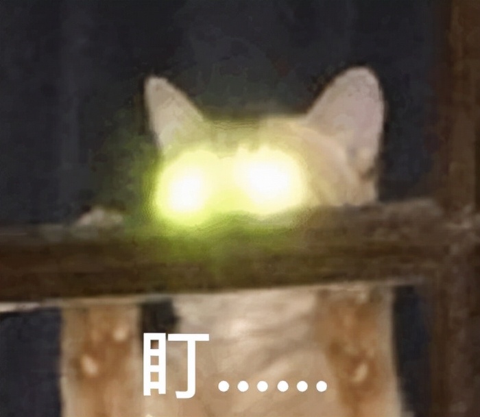 阿里可以微信支付吗,阿里旗下多个app已经接入微信支付