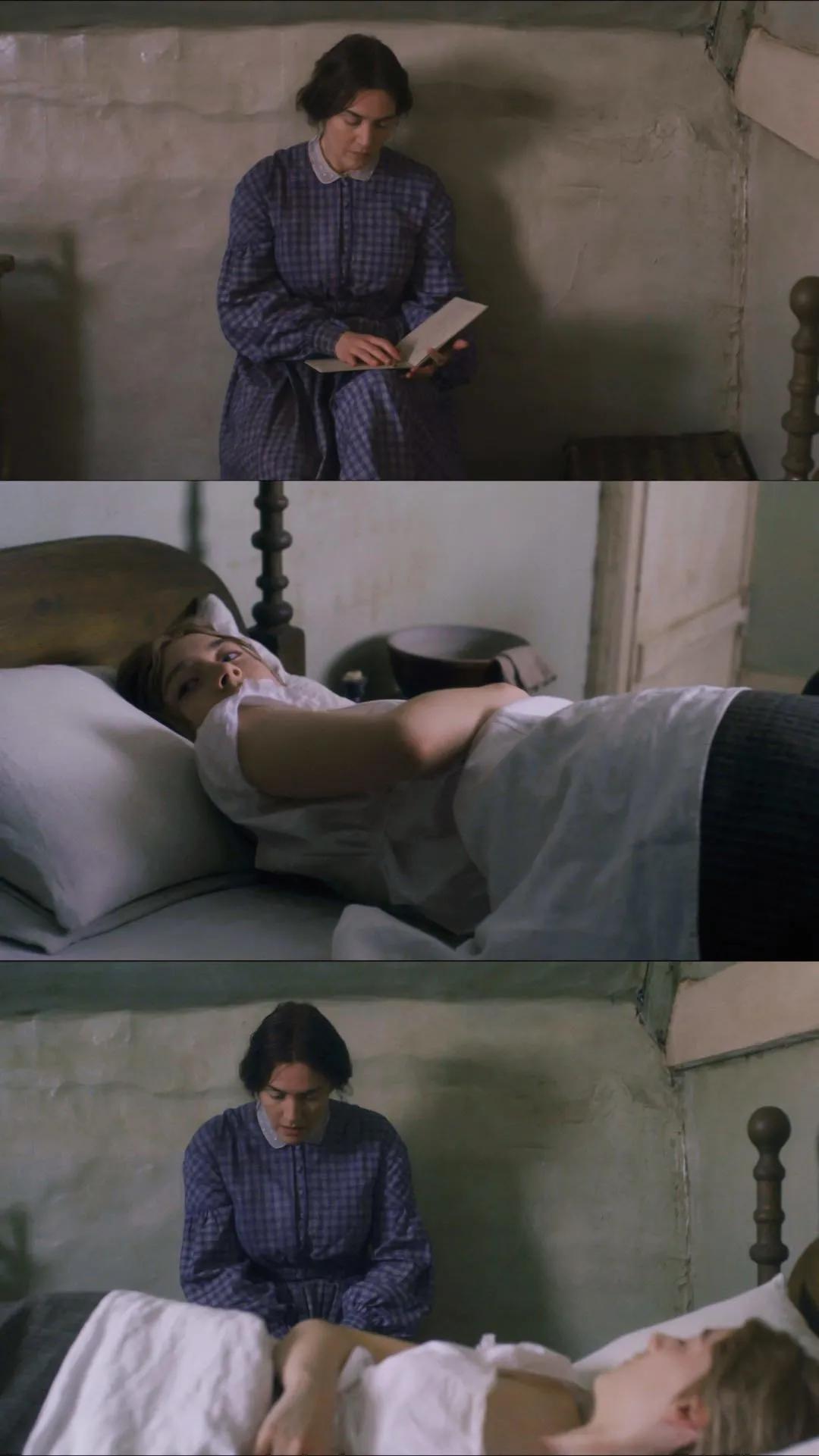 《菊石》的后劲：沉浸体验式的阅片过程，前所未有