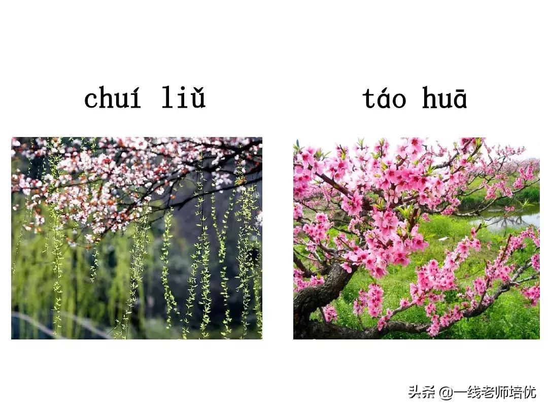 一年级语文园地一汉语拼音字母表,汉语拼音字母表正确读法一年级上