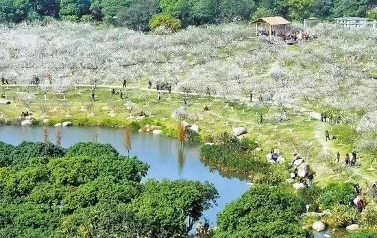 五一广东游玩攻略人少,五一广东免费的旅游景点