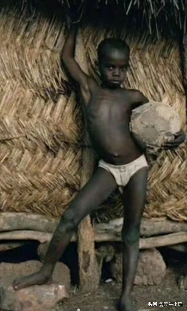 给中国足协陈主席一封信:不惜代价豪赌世界杯是急功近利舍本逐末