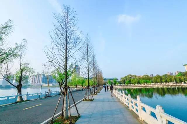 中南民族大学预科班是提前批报吗,中南民族大学全日制专业招生简章