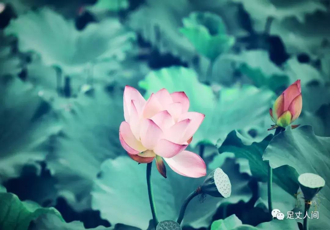 观澜版画村,观澜版画村生态艺术研学基地