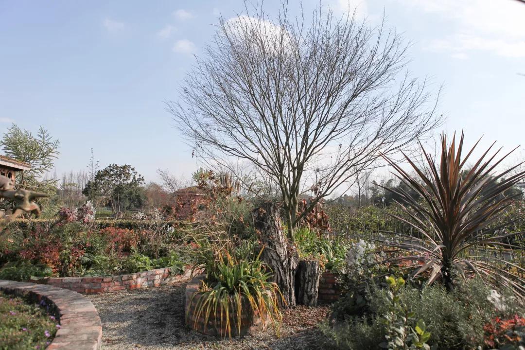 建一座完全不打药的生态花园,所有生命在这里和谐共处,值得收藏