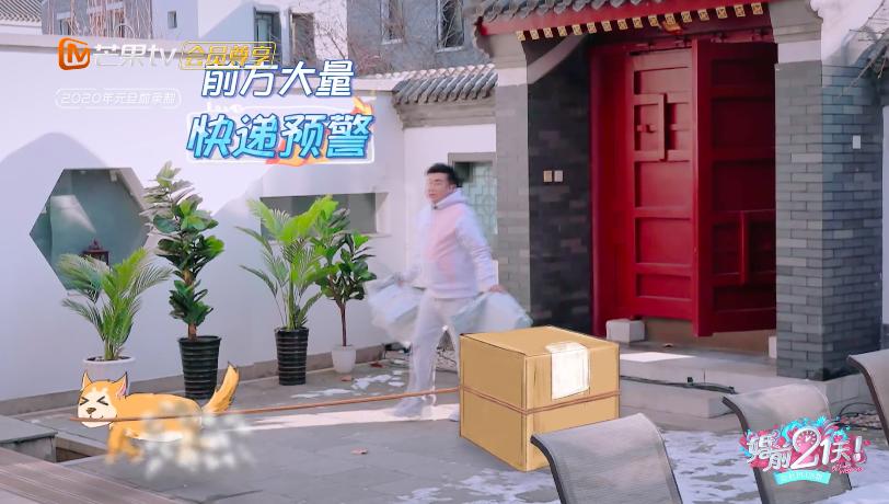 回顾何雯娜的成长经历,现在的何雯娜