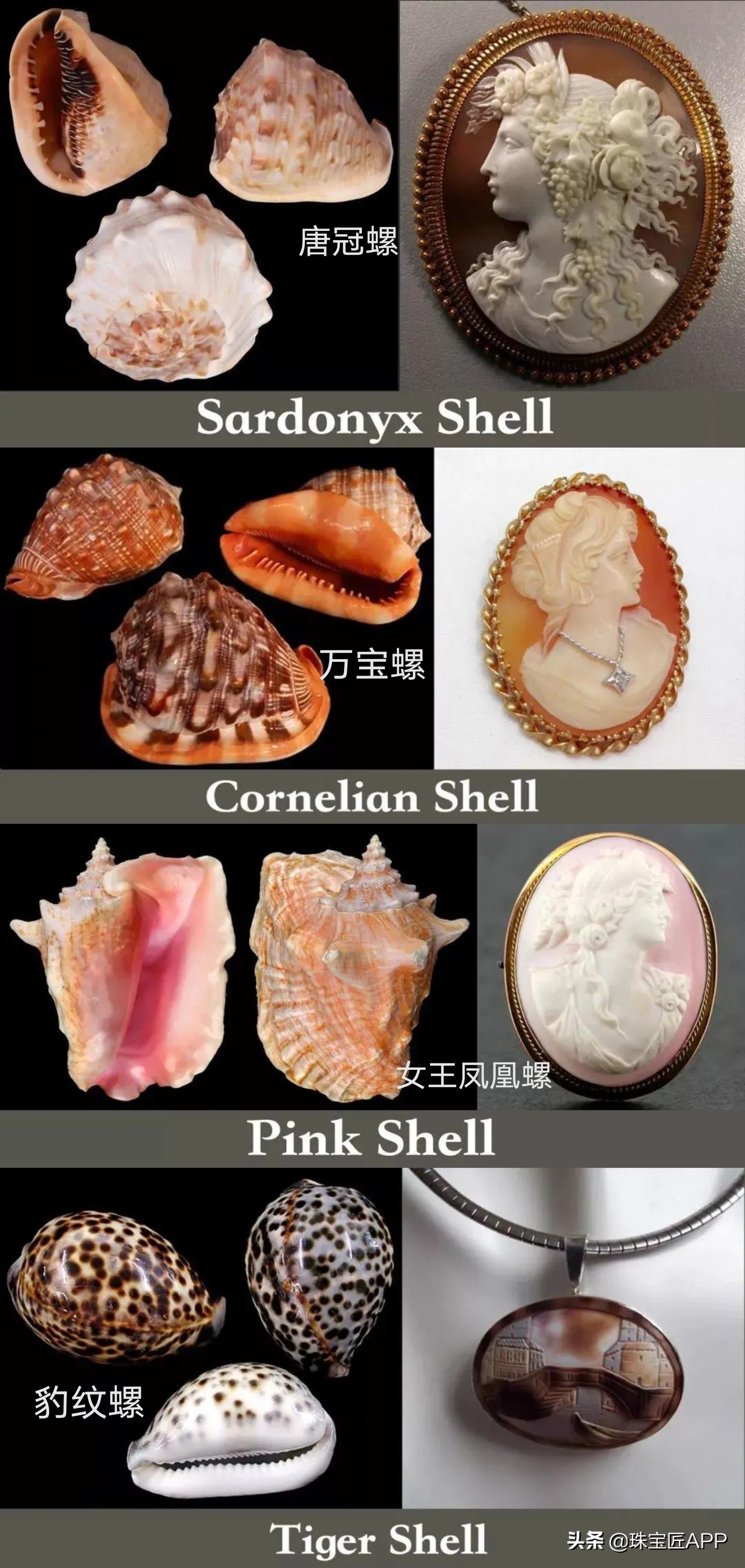 贝壳手工珠宝首饰,贝壳类珠宝首饰