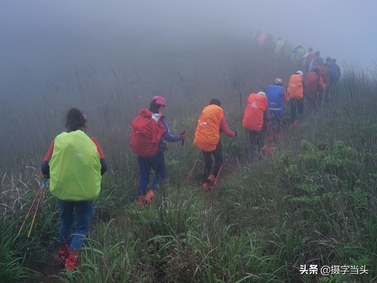 初夏游江西：历经晴、雨、雾，穿越武功山