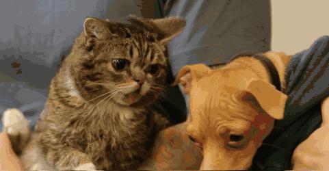 魏巍十大临床案例,魏巍临床经典案例