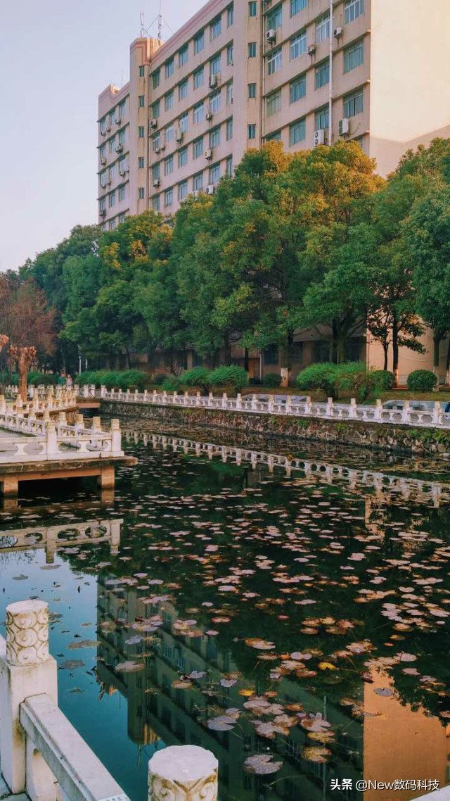 长江大学本科招生,长江大学武汉校区