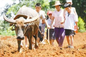 洛江虹山生态旅游,洛江虹山最新视频
