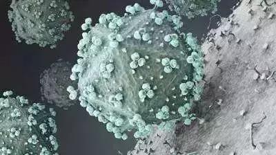 男子梅毒症状,男子被查梅毒后续