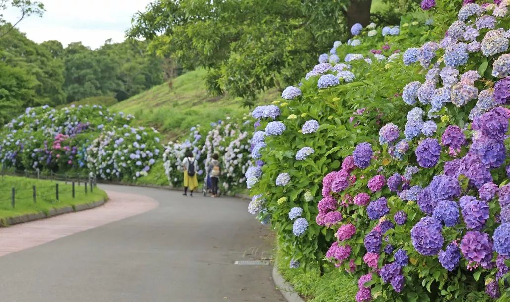 日本生态农业庄园,日本田园农场排行榜