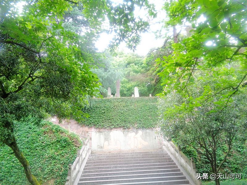 西湖一日游西湖景色到底有多美,再说一遍西湖之美