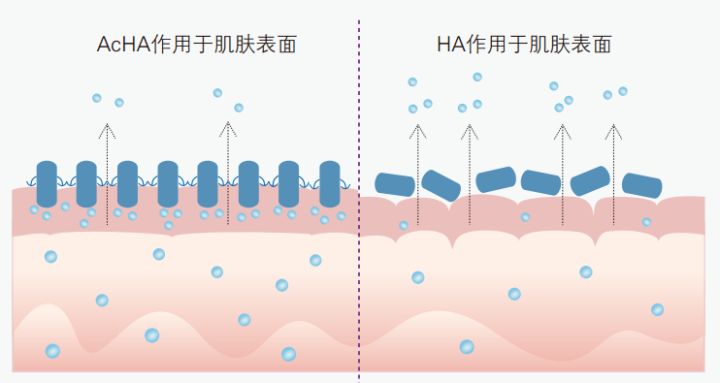 药学博士保湿化妆品,药学博士护肤品推荐