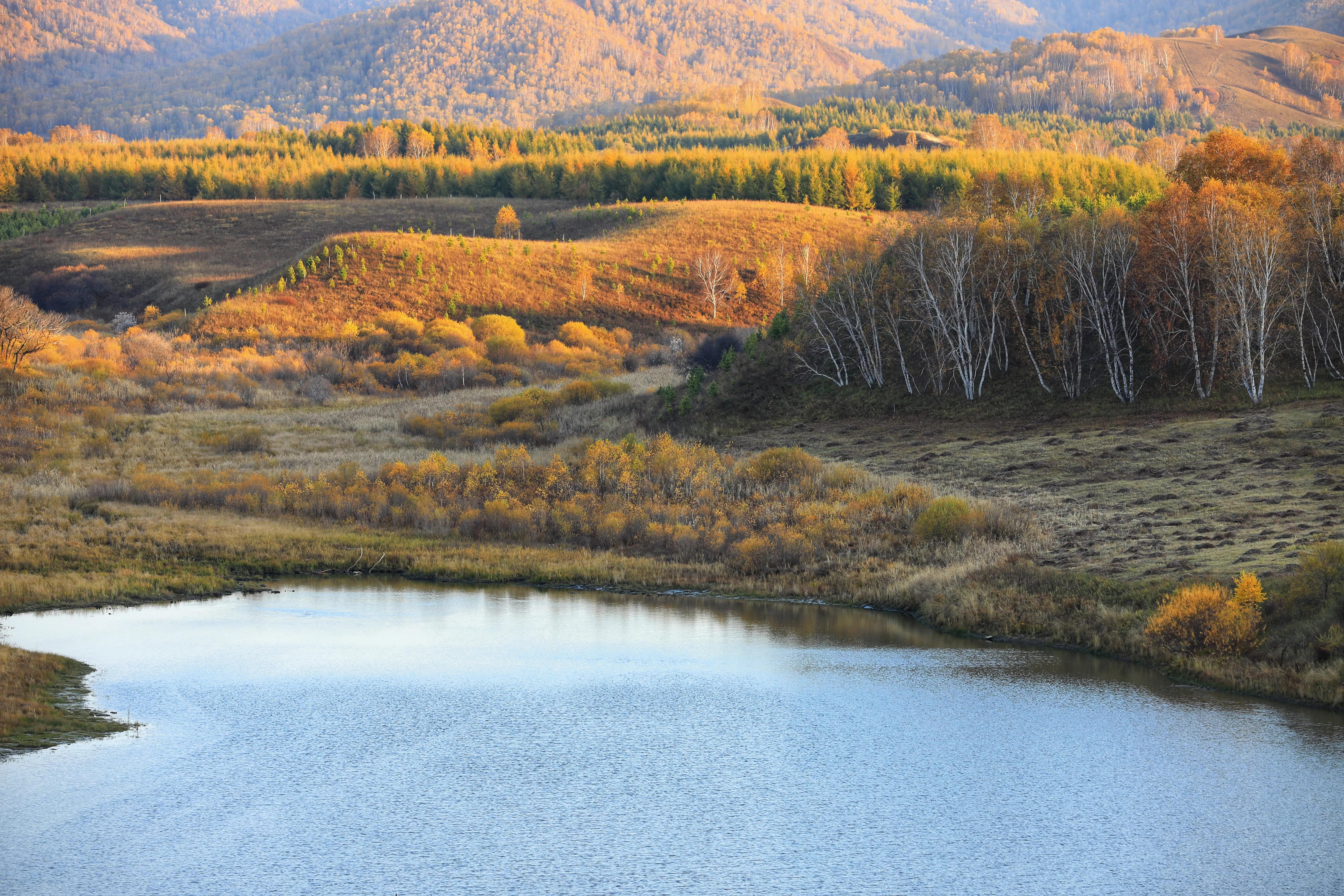 坝上秋色草原,坝上草原游记作文