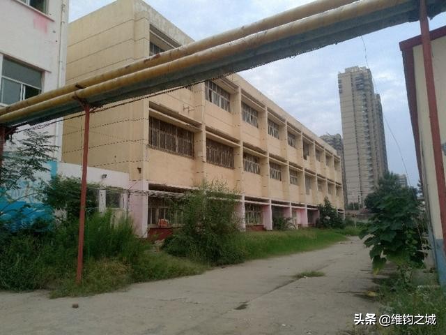 聊城人啊，请再看她一眼！