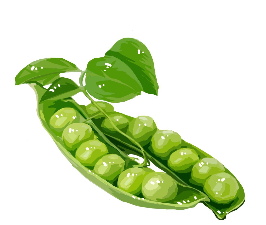 琛屽懗鏃呰,瀵诲懗椤哄痉