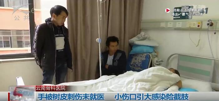 好可怕！老师傅手臂肿成这样险些截肢，只是因为被树皮扎了个小口子