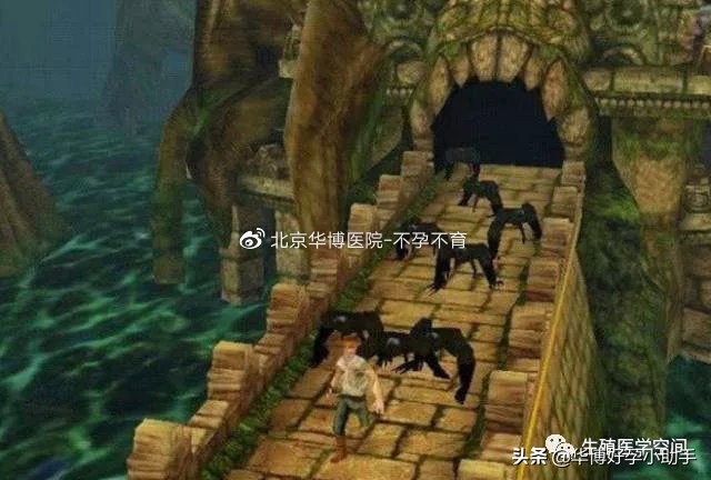 坏情绪会影响你身体的免疫力,情绪对试管成功的影响