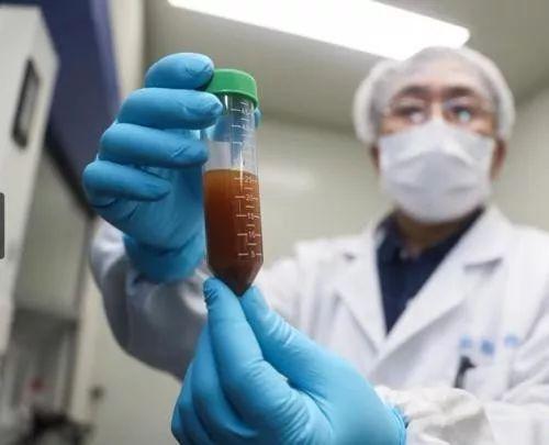 sari病毒到底是什么,sari病毒最新消息