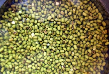 绿豆饼怎么做最简单又好吃,绿豆饼的制作方法简单易学