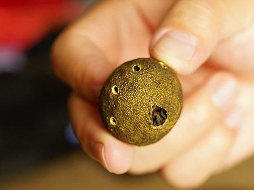 小心肝如何冲泡,小心肝的正确做法