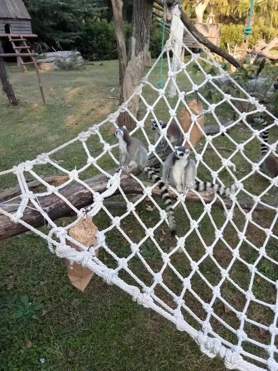 动物园怎么玩的具体介绍,动物园怎么玩更好玩