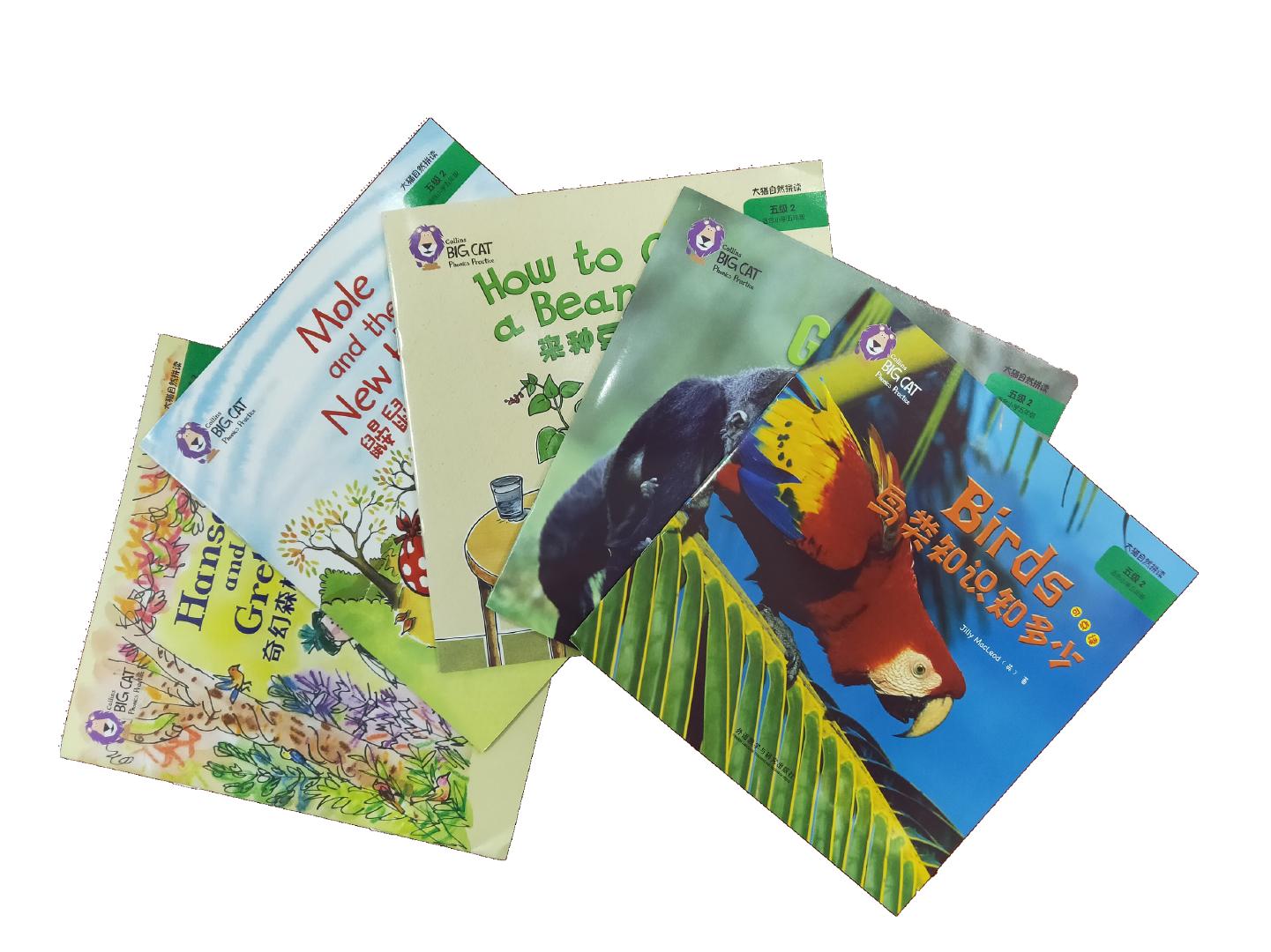 青岛朗朗国际学堂:为什么要让孩子从小读英文绘本?