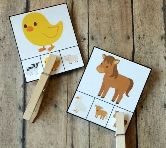 我用一个夹子，给娃上了一堂语文数学英语物理美术的综合实践课