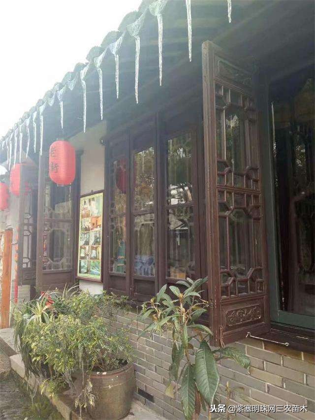 蓟州紫塞明珠农家院,紫塞明珠丰宁农家乐