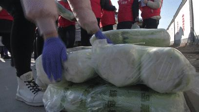 土豆白菜大萝卜，“蔚小代”让它们又抢手了