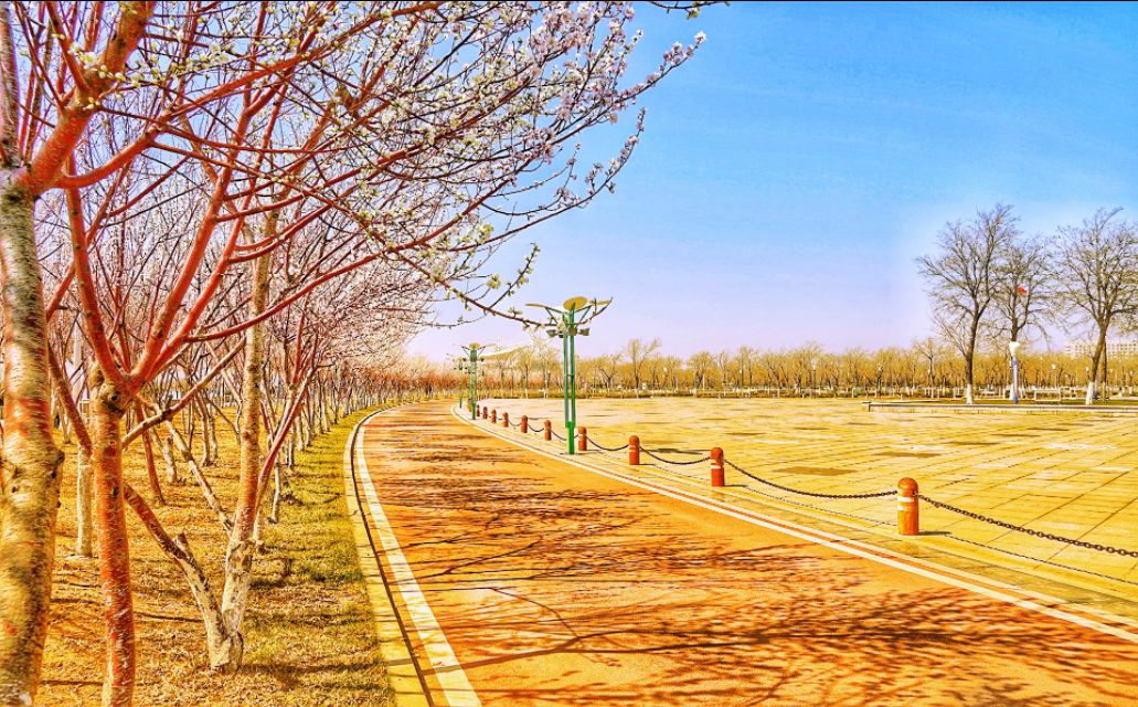 营口明湖广场可以烧烤吗,营口明湖广场夜市