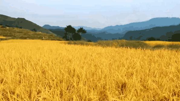 醴陵市满朝佰家粥铺醴泉路店,满朝佰家粥铺怎么样