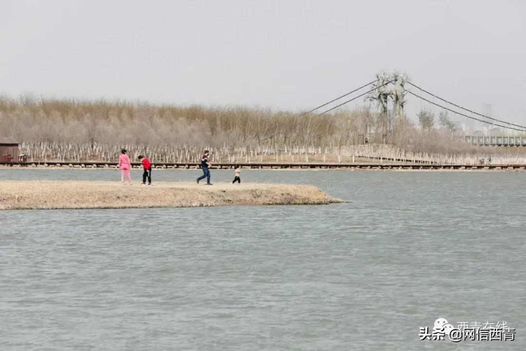 天津新开放的公园,天津水西公园现在恢复开放了吗