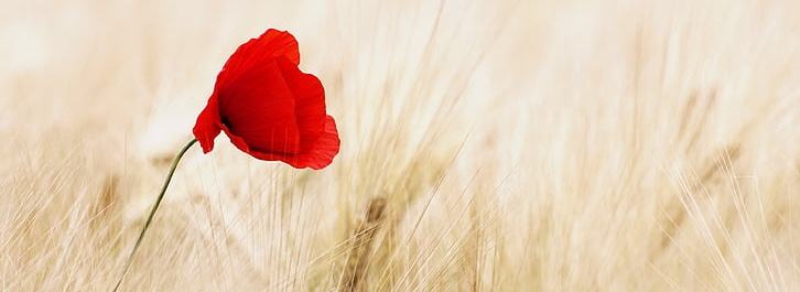 女生吃避孕药的危害真的大吗,女性哺乳期吃避孕药有什么危害