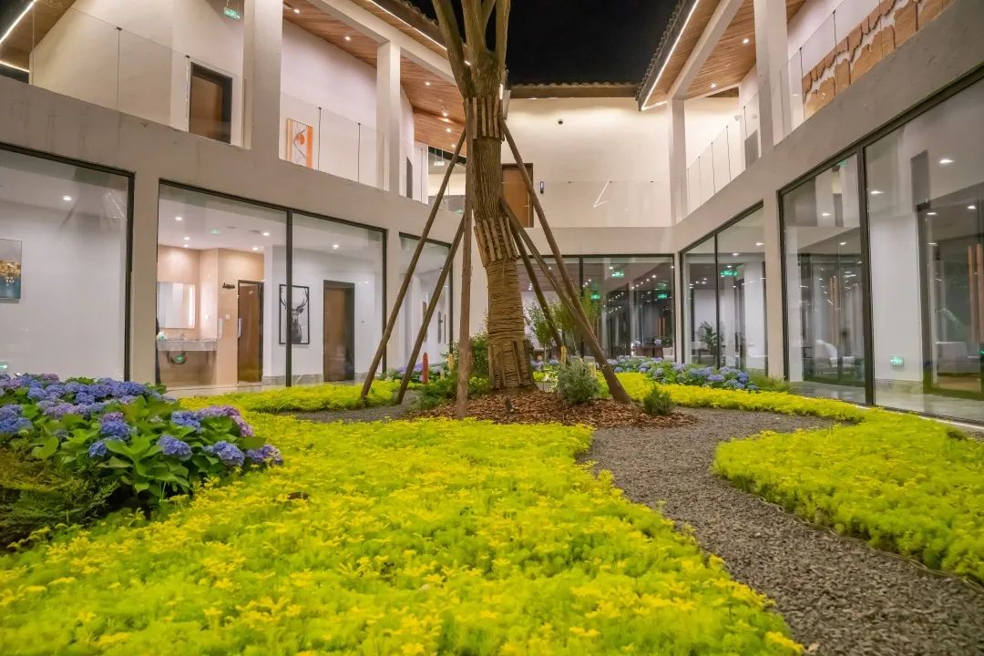 瑙呰叮灏忛晣褰窞,瑙呰叮灏忛晣宕囧窞