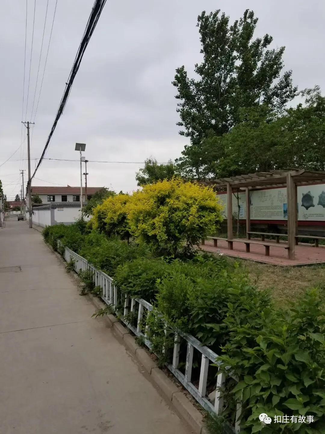 唐山特色旅游区,唐山榛子镇美丽乡村