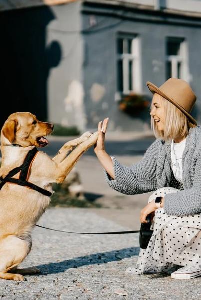 爱心满溢的爱宠之国你知道最受意大利人欢迎的萌宠是什么吗