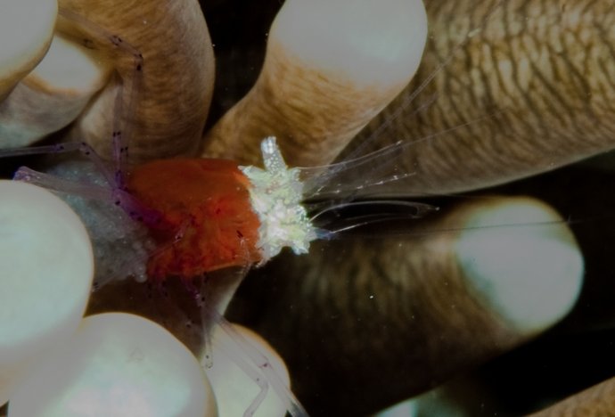 海底你不知道的东西,海底世界东海龙宫