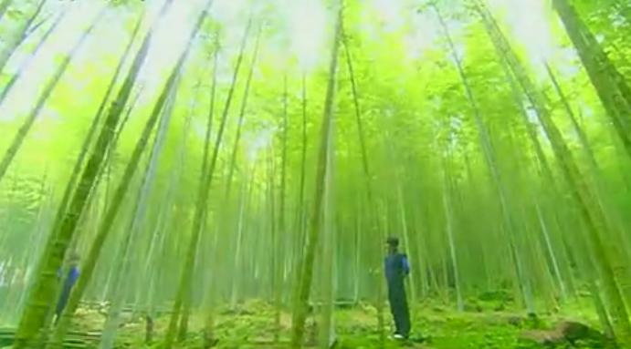 黑糖群侠传1-40集大结局解说,电视剧黑糖群侠传共多少集